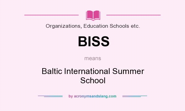 What does BISS mean? It stands for Baltic International Summer School