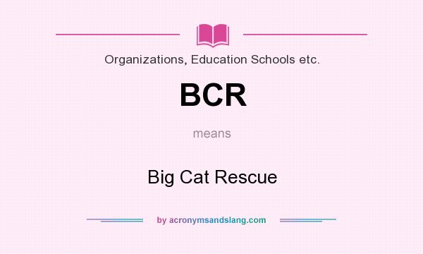 What does BCR mean? It stands for Big Cat Rescue