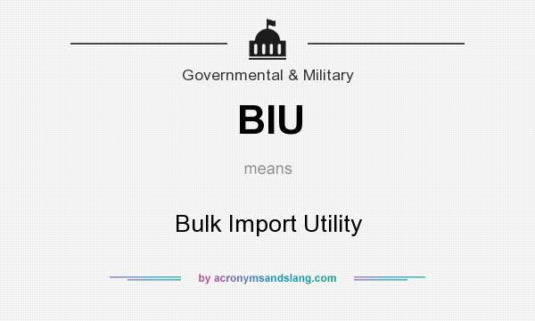 What does BIU mean? It stands for Bulk Import Utility