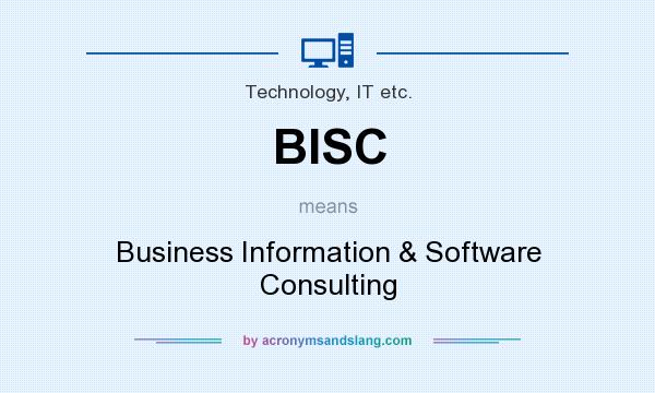 What does BISC mean? It stands for Business Information & Software Consulting