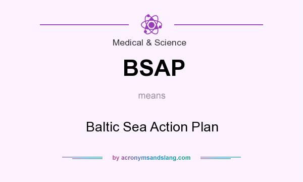 What does BSAP mean? It stands for Baltic Sea Action Plan