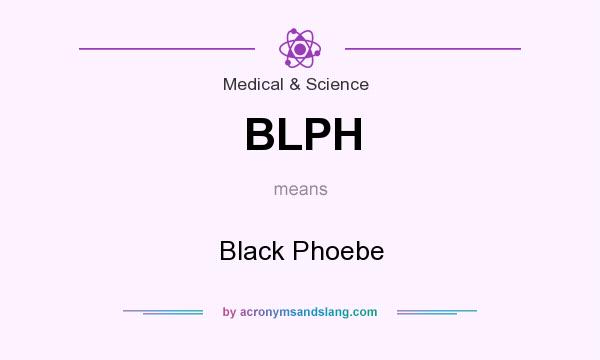What does BLPH mean? It stands for Black Phoebe