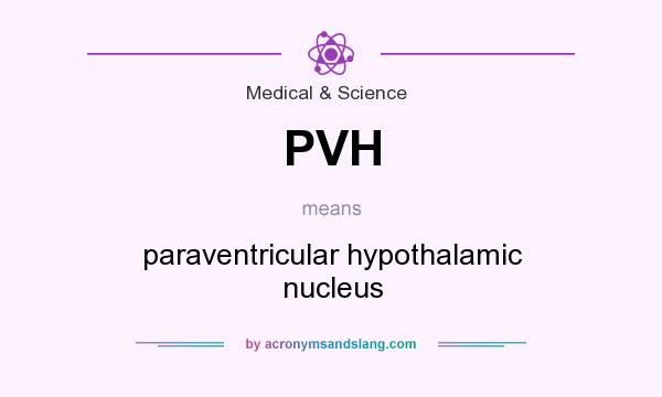 What does PVH mean? It stands for paraventricular hypothalamic nucleus