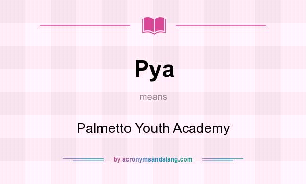 What does Pya mean? It stands for Palmetto Youth Academy