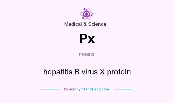 What does Px mean? It stands for hepatitis B virus X protein