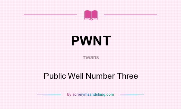 What does PWNT mean? It stands for Public Well Number Three