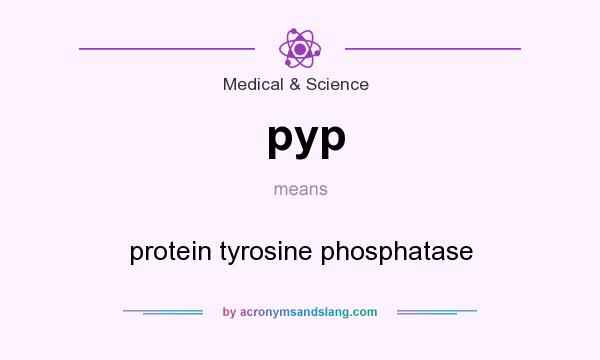 What does pyp mean? It stands for protein tyrosine phosphatase