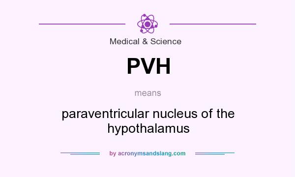 What does PVH mean? It stands for paraventricular nucleus of the hypothalamus