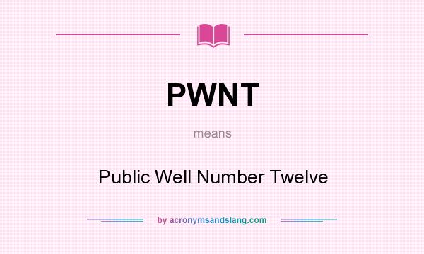 What does PWNT mean? It stands for Public Well Number Twelve