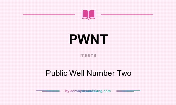 What does PWNT mean? It stands for Public Well Number Two