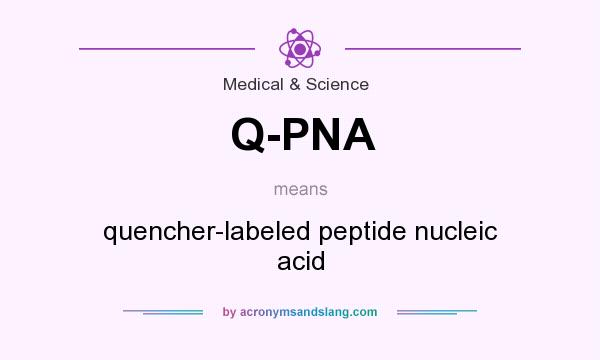 What does Q-PNA mean? It stands for quencher-labeled peptide nucleic acid