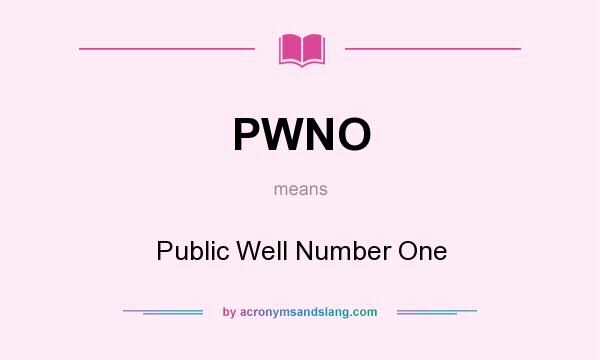 What does PWNO mean? It stands for Public Well Number One