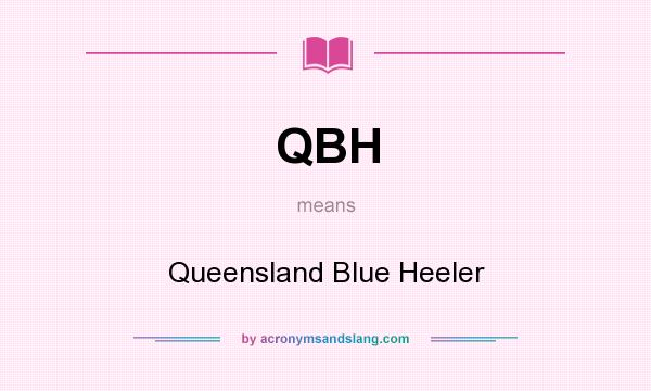 What does QBH mean? It stands for Queensland Blue Heeler