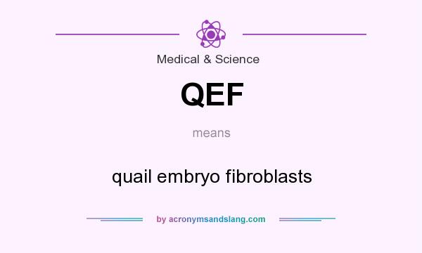 What does QEF mean? It stands for quail embryo fibroblasts