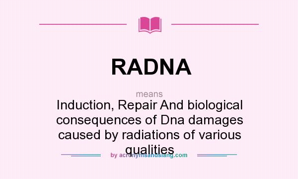 What does RADNA mean? It stands for Induction, Repair And biological consequences of Dna damages caused by radiations of various qualities