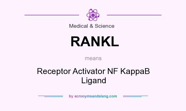What does RANKL mean? It stands for Receptor Activator NF KappaB Ligand