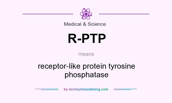 What does R-PTP mean? It stands for receptor-like protein tyrosine phosphatase