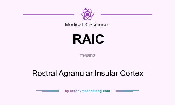 What does RAIC mean? It stands for Rostral Agranular Insular Cortex