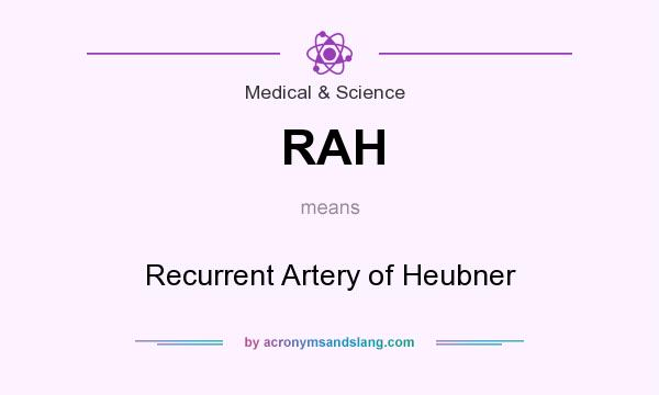 What does RAH mean? It stands for Recurrent Artery of Heubner