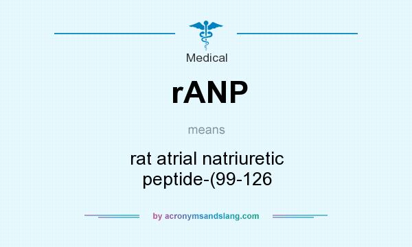 What does rANP mean? It stands for rat atrial natriuretic peptide-(99-126