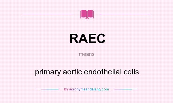 What does RAEC mean? It stands for primary aortic endothelial cells