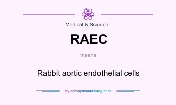 What does RAEC mean? It stands for Rabbit aortic endothelial cells