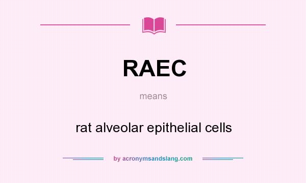 What does RAEC mean? It stands for rat alveolar epithelial cells