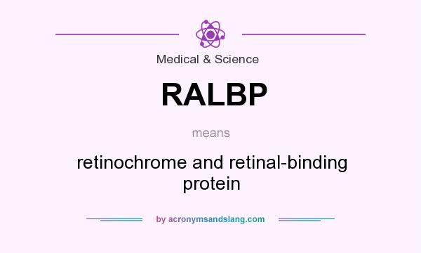 What does RALBP mean? It stands for retinochrome and retinal-binding protein