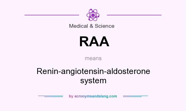 What does RAA mean? It stands for Renin-angiotensin-aldosterone system