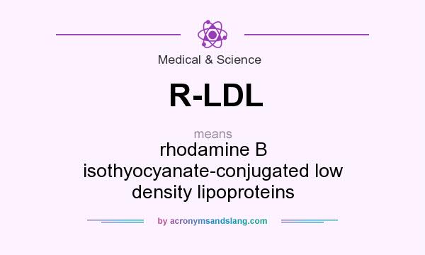 What does R-LDL mean? It stands for rhodamine B isothyocyanate-conjugated low density lipoproteins