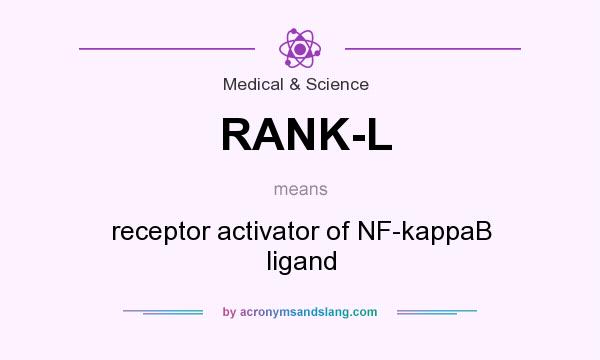 What does RANK-L mean? It stands for receptor activator of NF-kappaB ligand