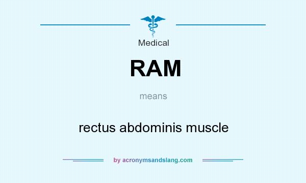 What does RAM mean? It stands for rectus abdominis muscle