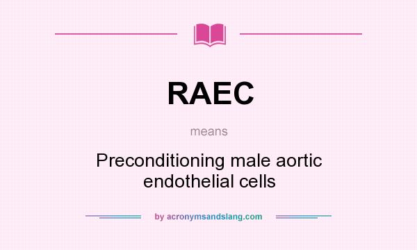 What does RAEC mean? It stands for Preconditioning male aortic endothelial cells