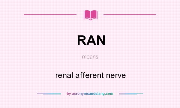 What does RAN mean? It stands for renal afferent nerve