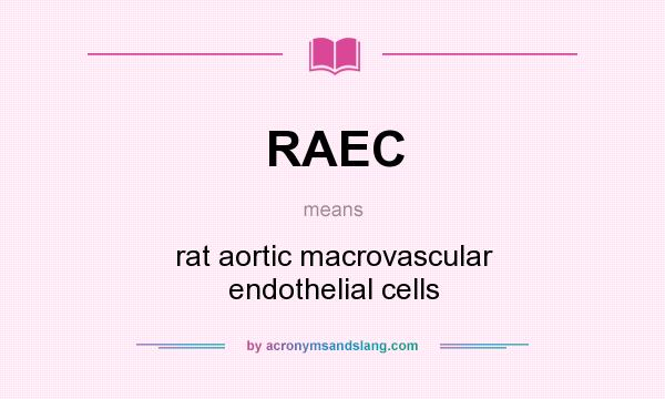 What does RAEC mean? It stands for rat aortic macrovascular endothelial cells