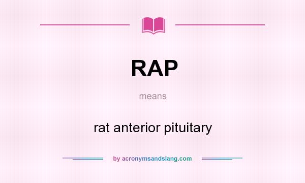 What does RAP mean? It stands for rat anterior pituitary