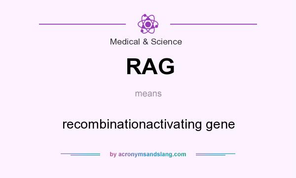 What does RAG mean? It stands for recombinationactivating gene