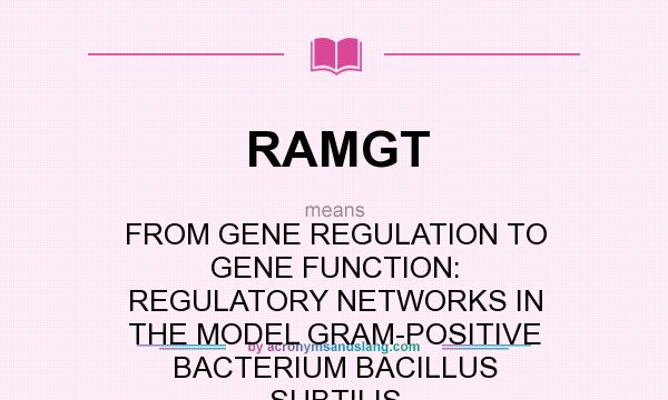 What does RAMGT mean? It stands for FROM GENE REGULATION TO GENE FUNCTION: REGULATORY NETWORKS IN THE MODEL GRAM-POSITIVE BACTERIUM BACILLUS SUBTILIS