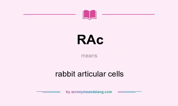 What does RAc mean? It stands for rabbit articular cells