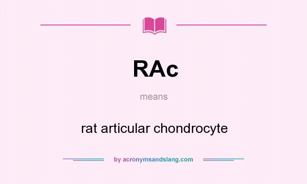 What does RAc mean? It stands for rat articular chondrocyte