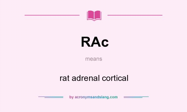 What does RAc mean? It stands for rat adrenal cortical