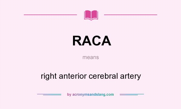 What does RACA mean? It stands for right anterior cerebral artery