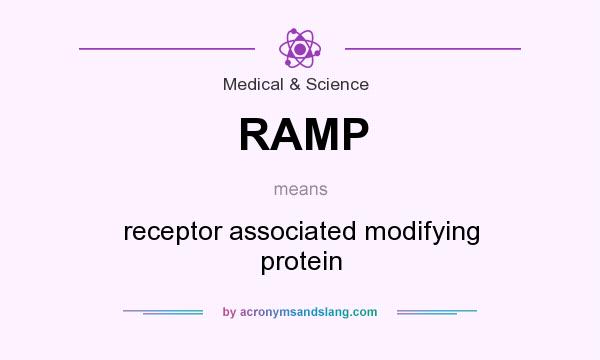 What does RAMP mean? It stands for receptor associated modifying protein