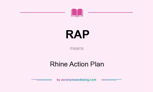 What does RAP mean? It stands for Rhine Action Plan