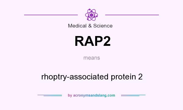 What does RAP2 mean? It stands for rhoptry-associated protein 2