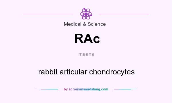 What does RAc mean? It stands for rabbit articular chondrocytes