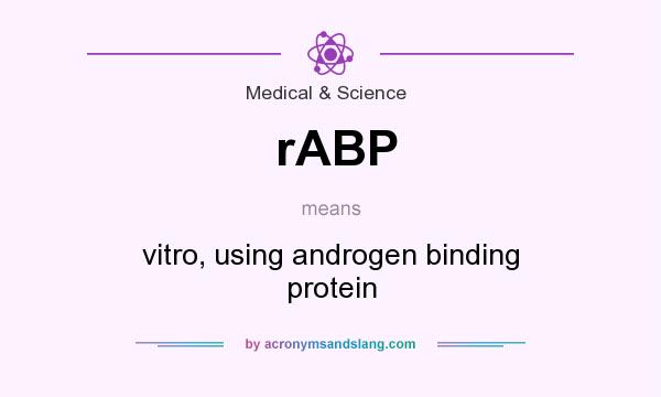 What does rABP mean? It stands for vitro, using androgen binding protein