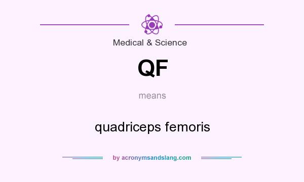 What does QF mean? It stands for quadriceps femoris