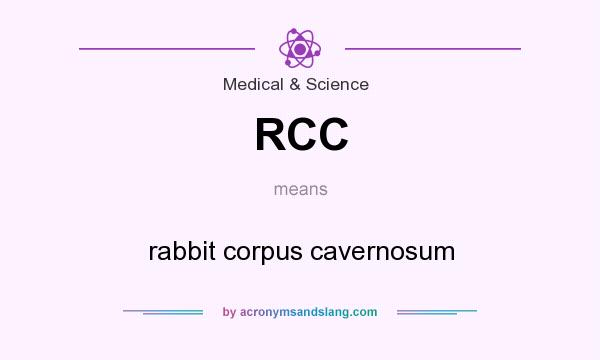 What does RCC mean? It stands for rabbit corpus cavernosum