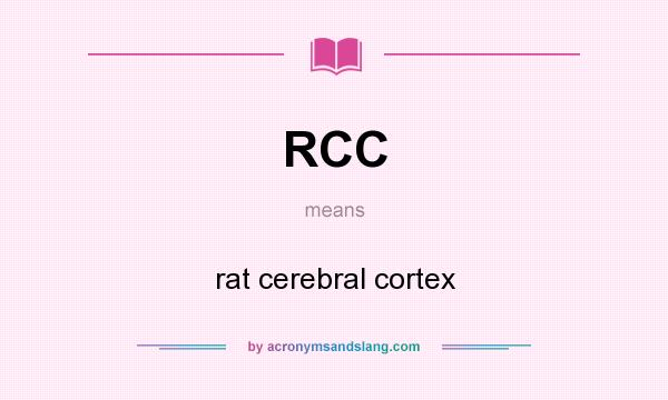 What does RCC mean? It stands for rat cerebral cortex